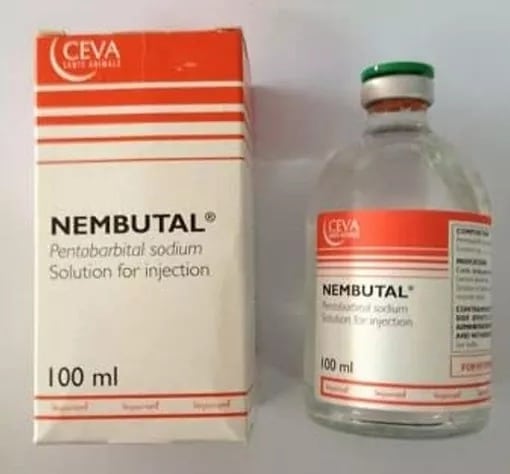 https://greenvaluehealth.com/product/buy-nembutal-pen…al-sodium-online/